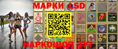 Альфа ПВП Бердск