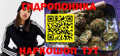 Альфа ПВП Бердск