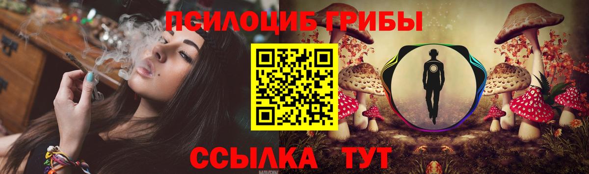 Галлюциногенные грибы Cubensis Старая Купавна